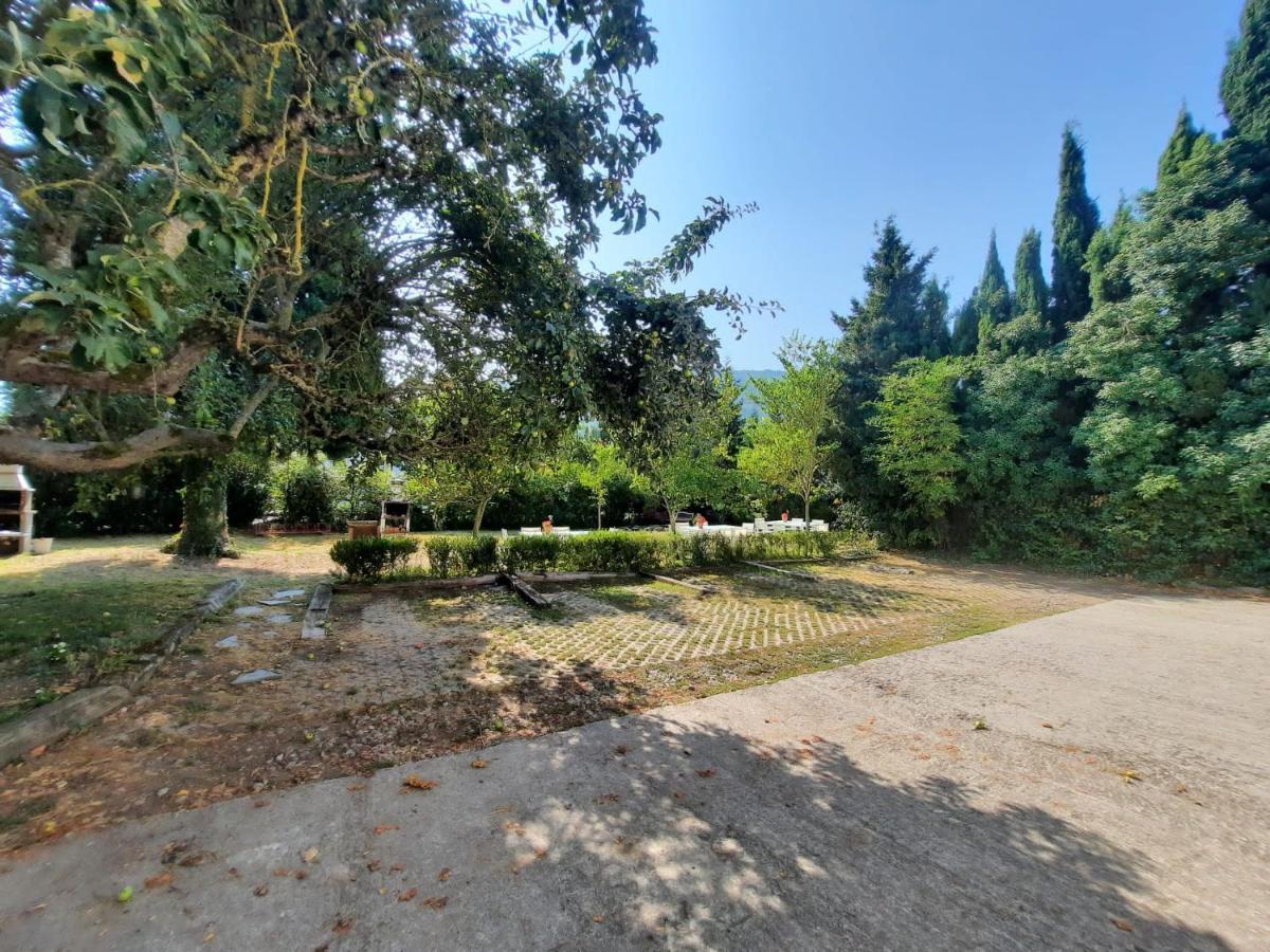 Errotazar Apartamento Rural I 알세이수아 외부 사진